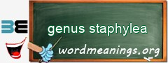 WordMeaning blackboard for genus staphylea